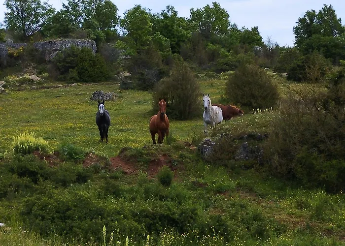 Domaine De Servieres - Grand بيت للعطل لو كايلار